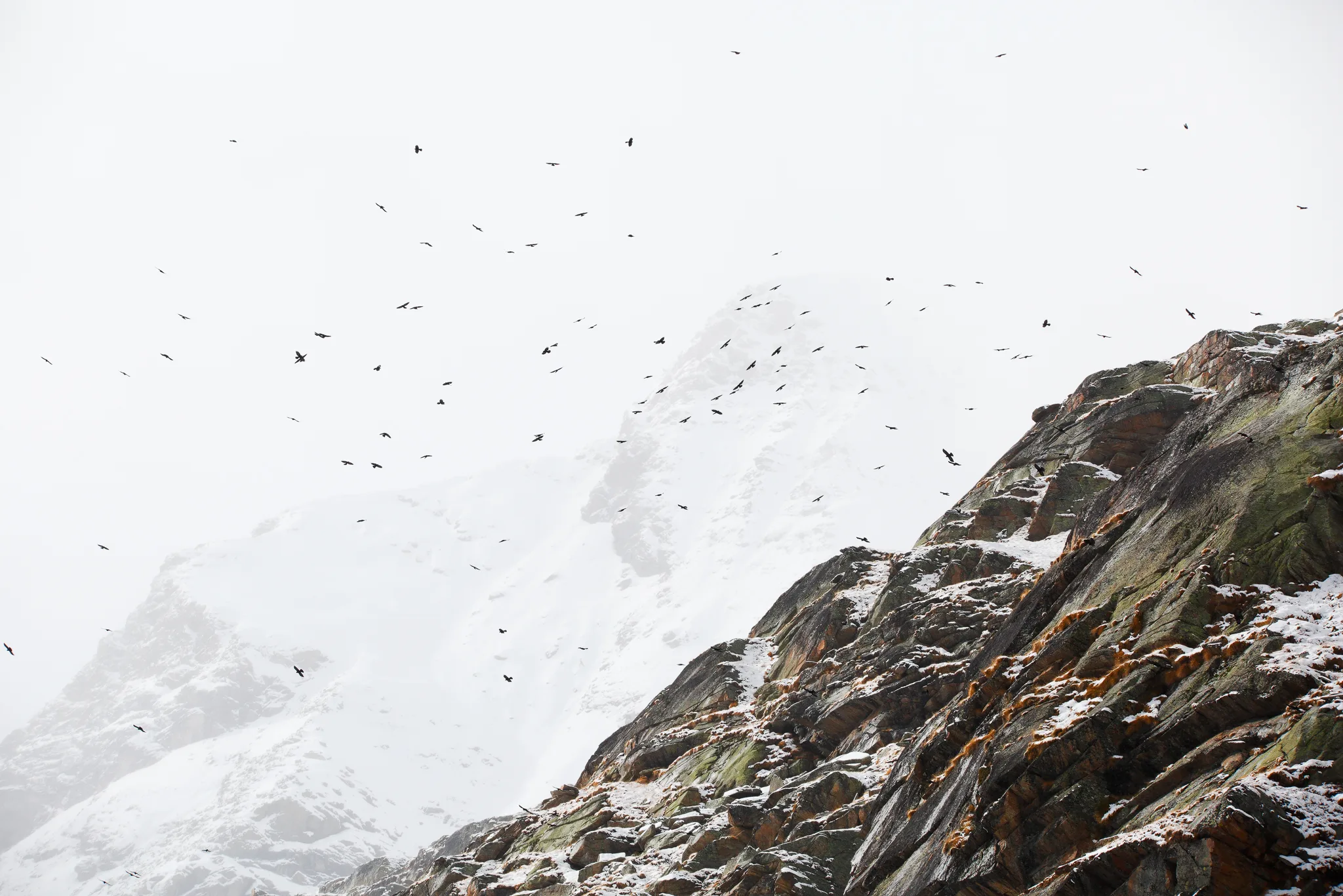 Portfolio Tonio Di Stefano