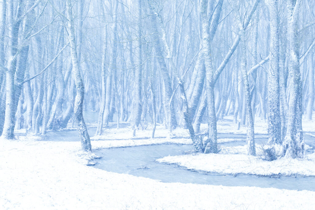 parco nazionale d'abruzzo winter landscape