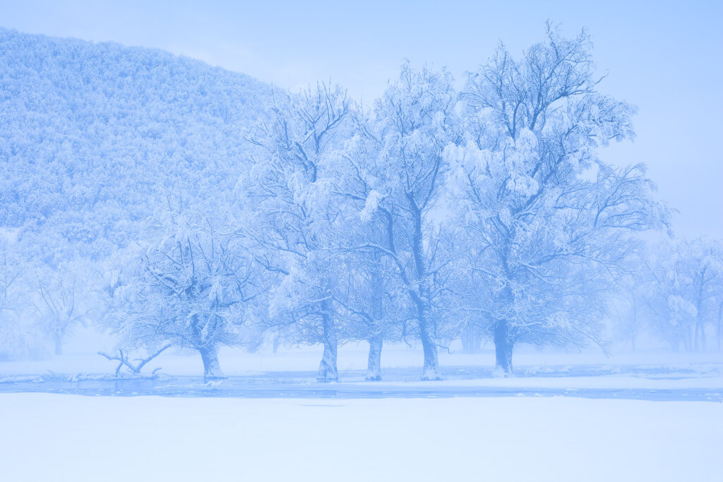 parco nazionale d'abruzzo winter landscape italy