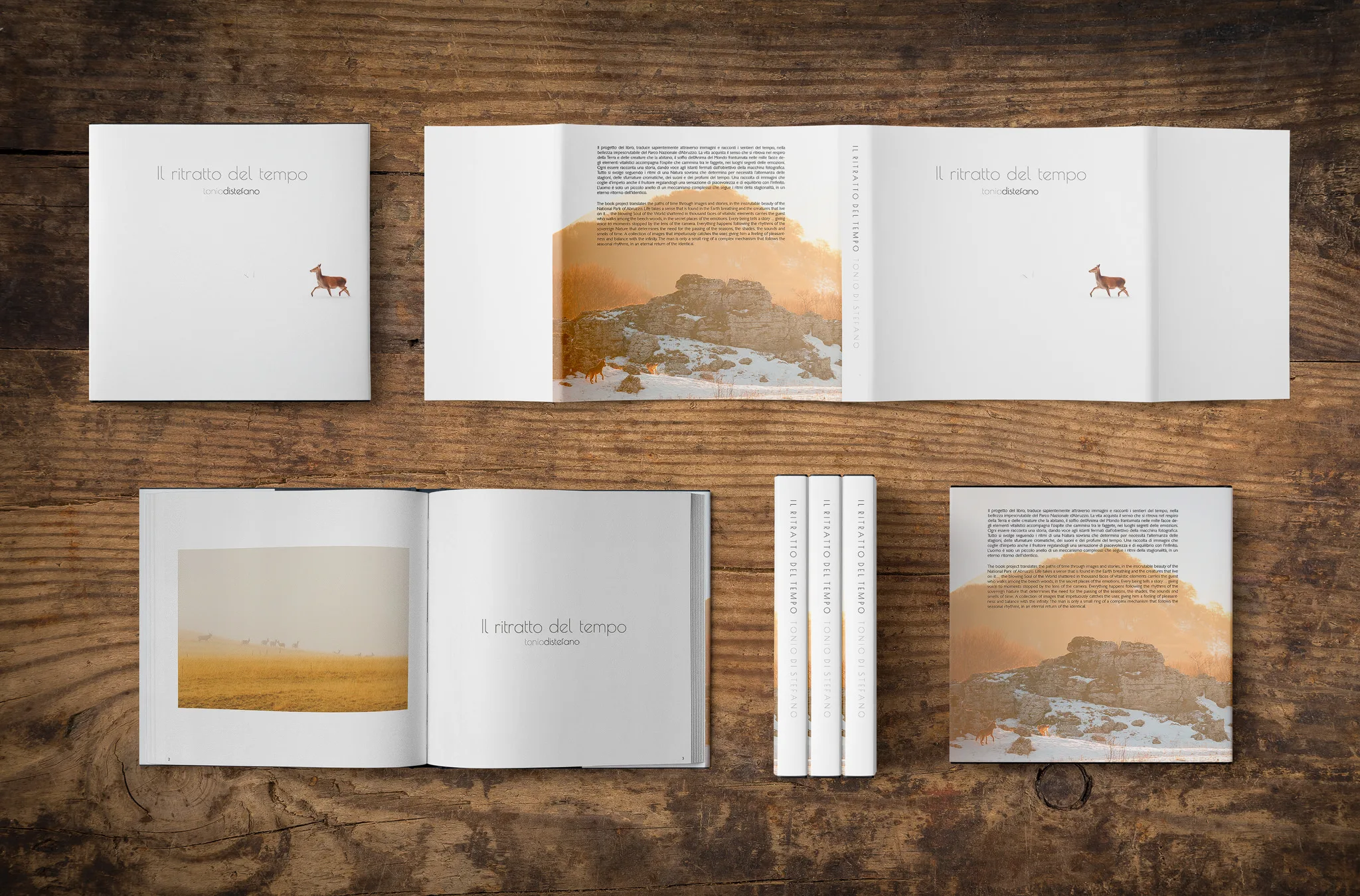Il Ritratto del Tempo photo book by Tonio Di Stefano