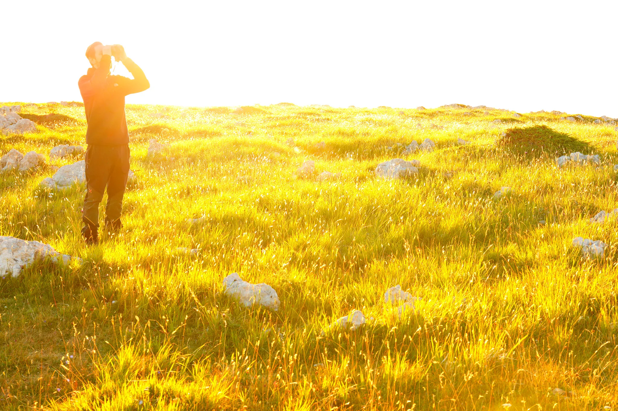 Tonio Di Stefano &mdash; nature photographer