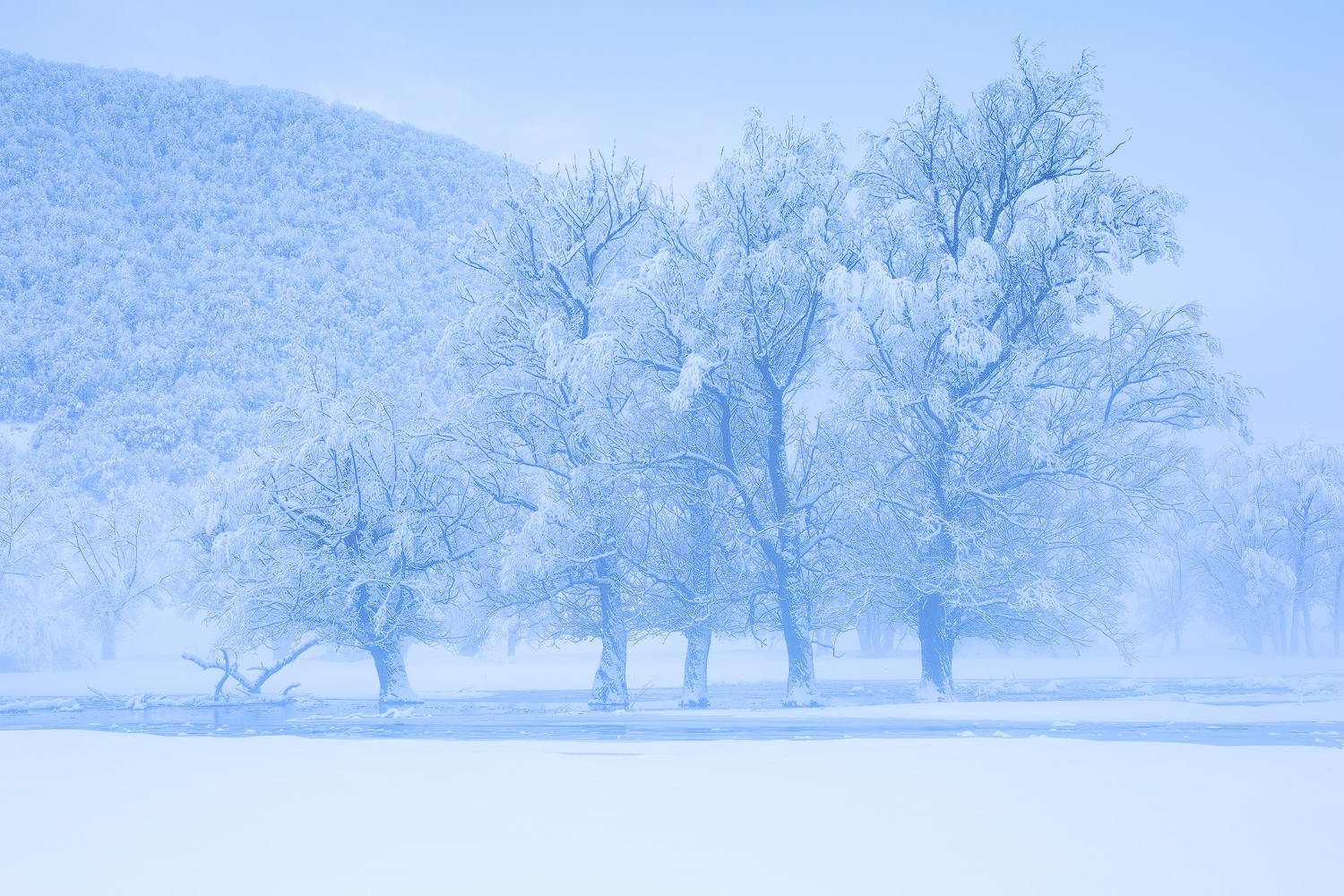 Frost covered trees in a serene winter landscape Abruzzo National Park