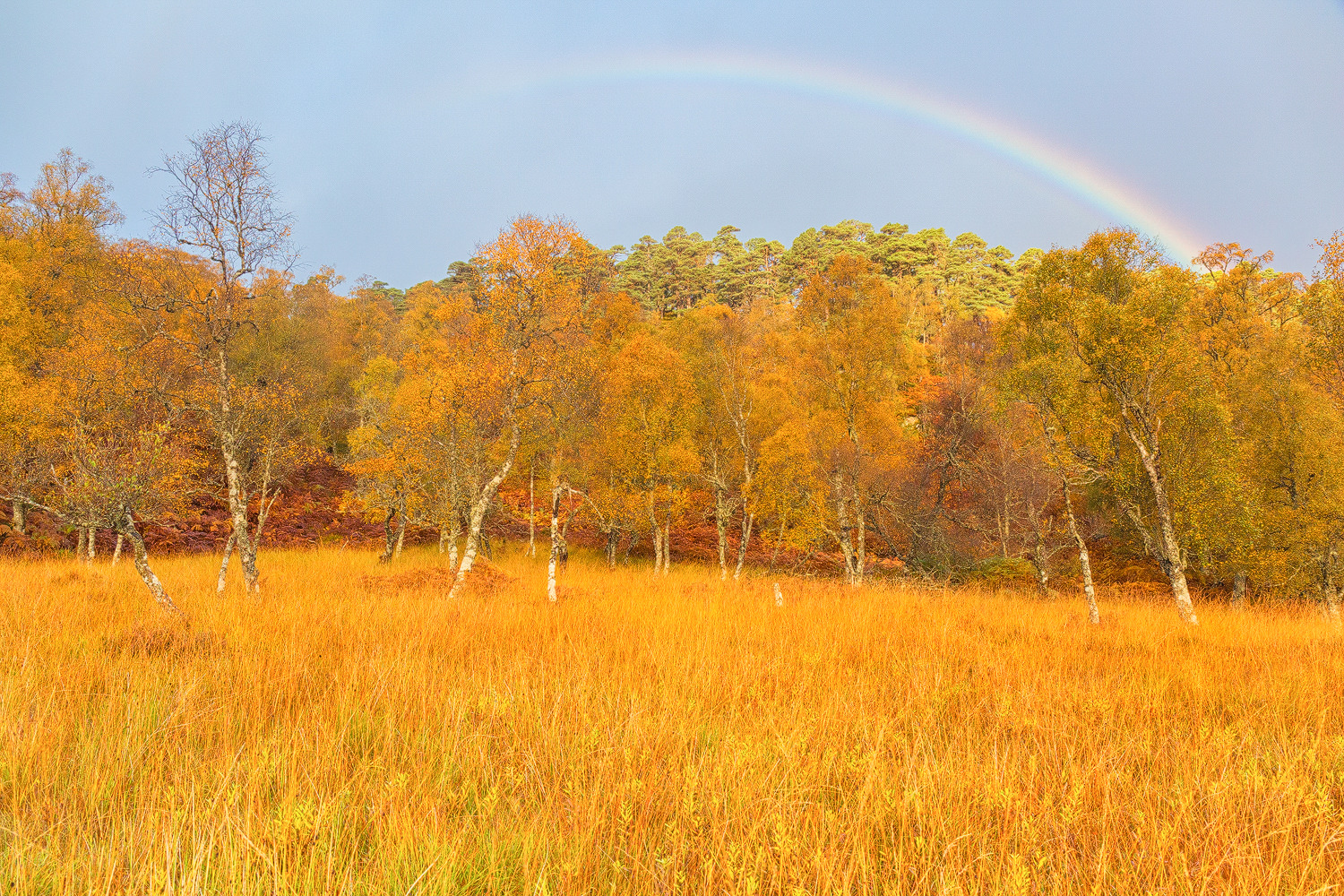 autunno arcobaleno scozia