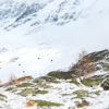 parco nazionale del gran paradiso valle d'aosta inverno