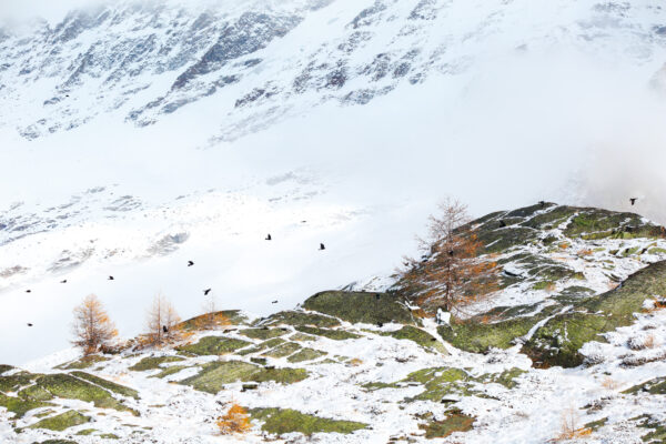 parco nazionale del gran paradiso valle d'aosta inverno