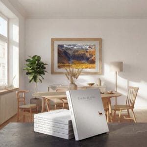 Il Ritratto del Tempo Tonio Di Stefano