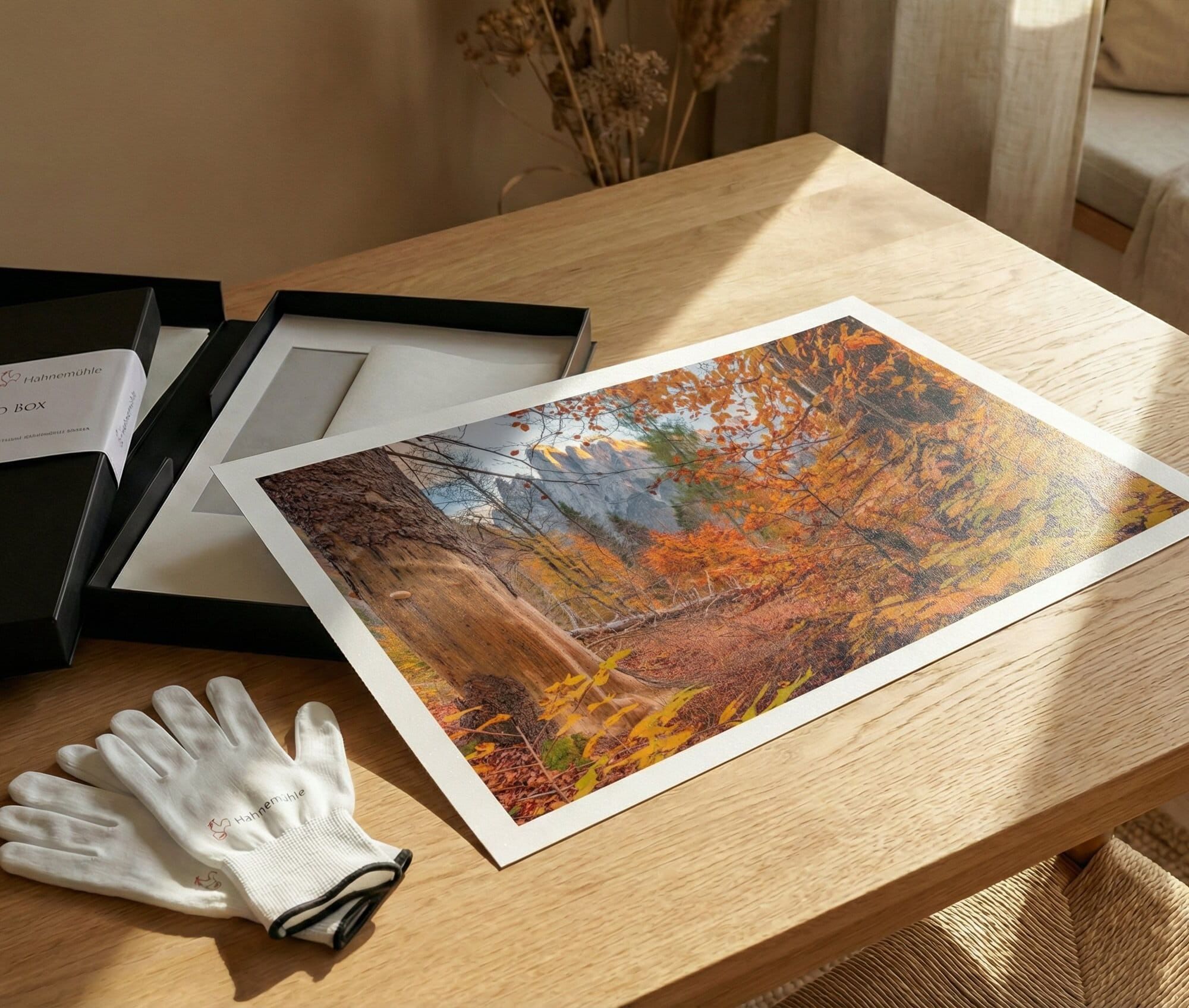 Print on Canson Fine Art by tonio di stefano