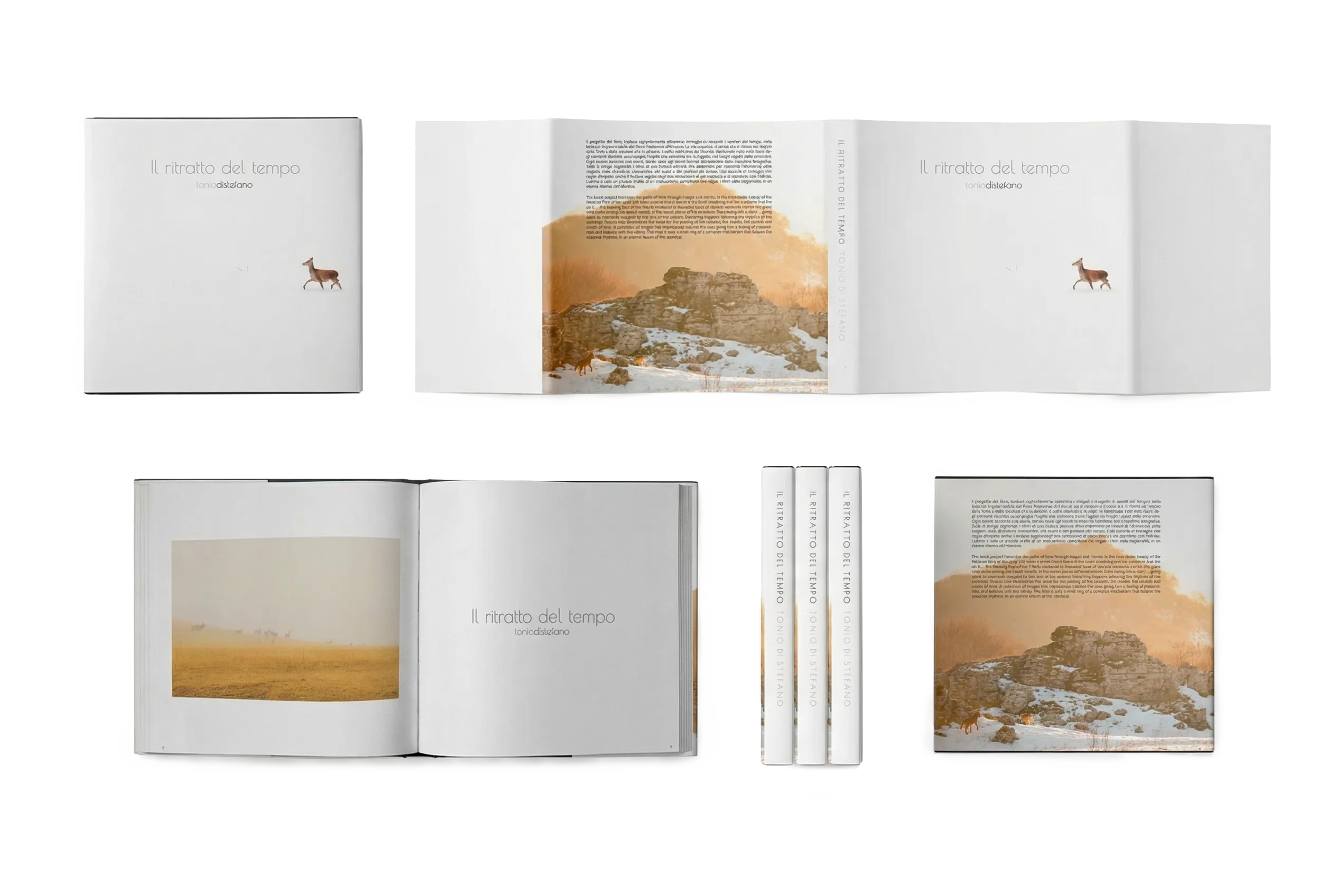 Il Ritratto del Tempo