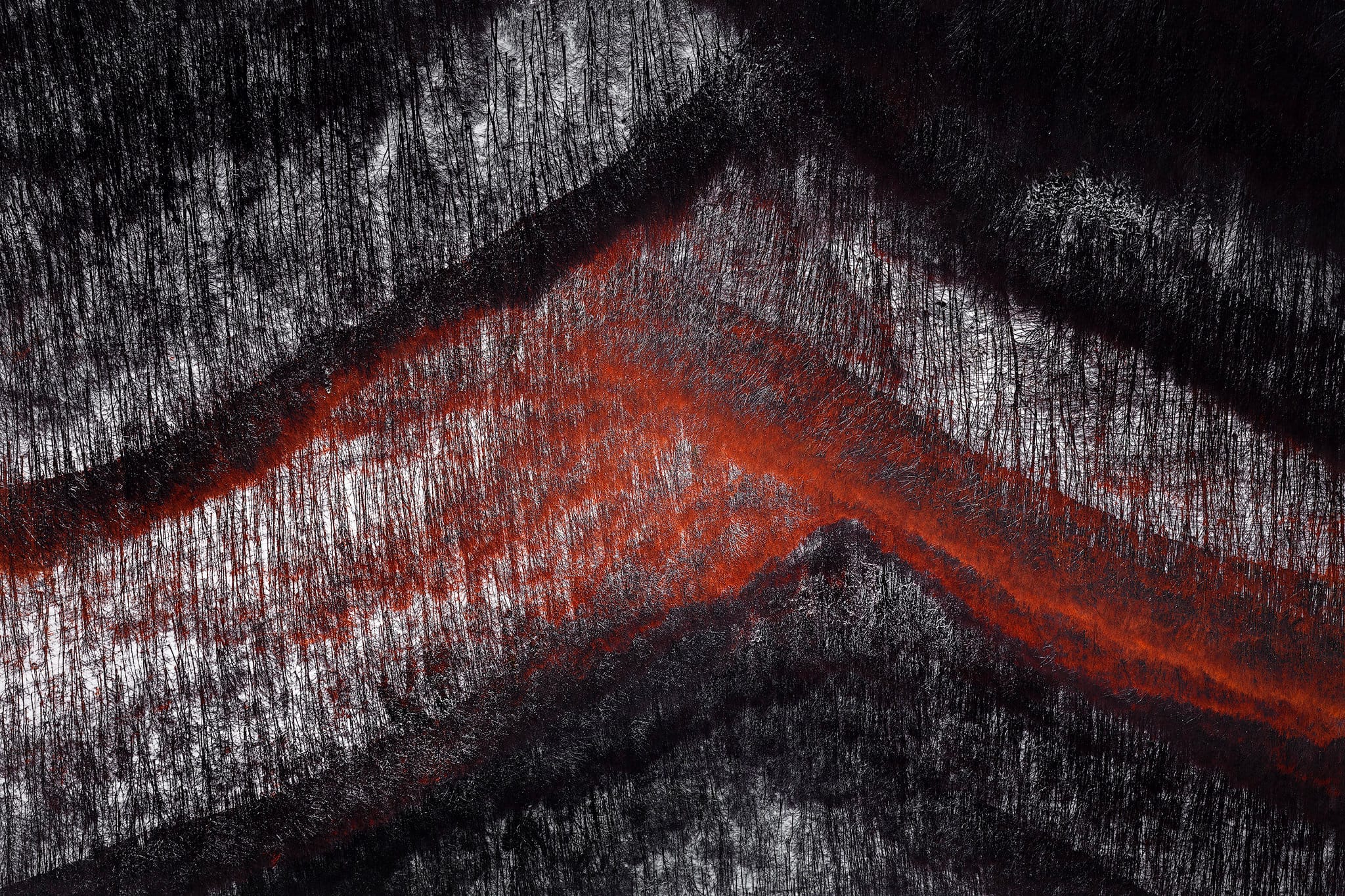 _ONI1421-1 copy